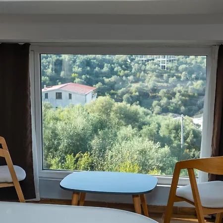 Hotel Olivar Tirana