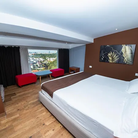 Olivar Tirana Selitë e Vogël